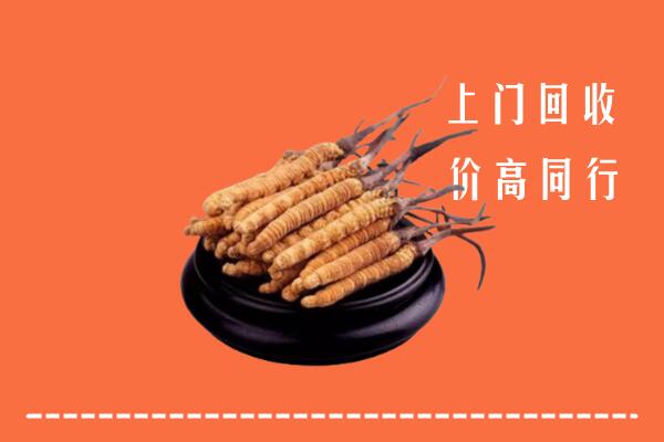 鄂温克族自治旗回收冬虫夏草