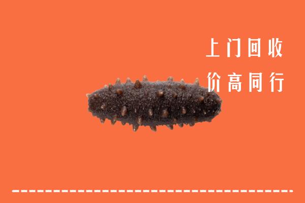 鄂温克族自治旗回收海参