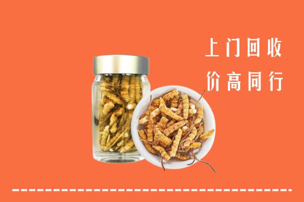 鄂温克族自治旗回收冬虫夏草